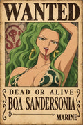 One Piece Boa Sandersonia Wanted Poster - Small Wood Print
